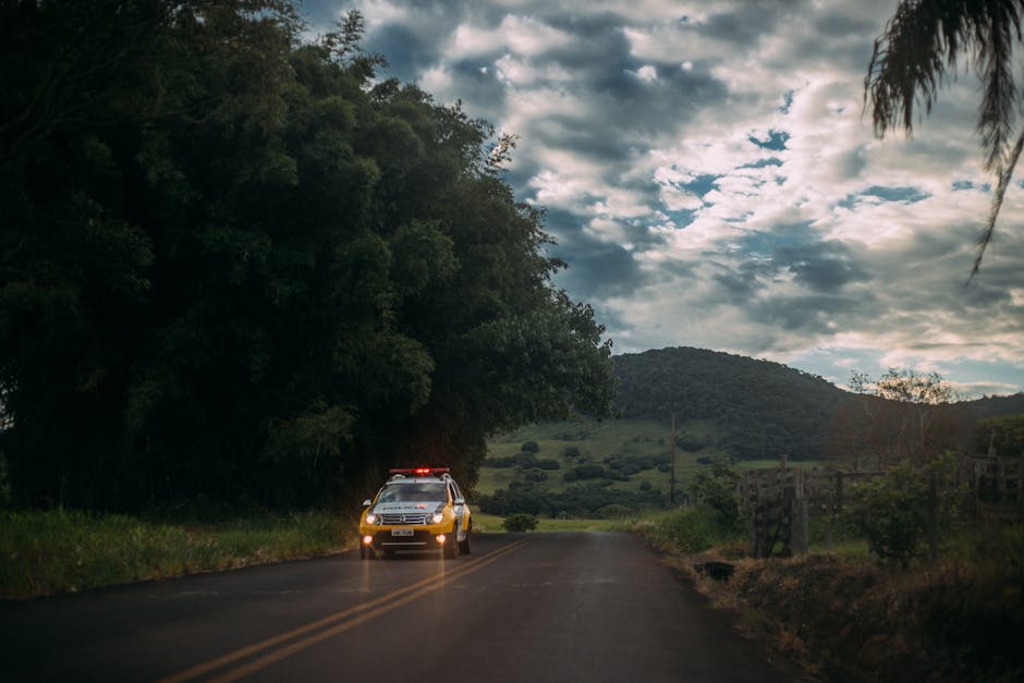 Law enforcement vehicles parked along a rural mountain road with dense trees on both sides